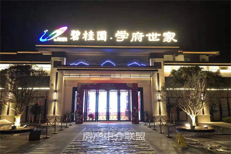 诺贝尔城一楼81平两室精装带储藏室59万可按揭